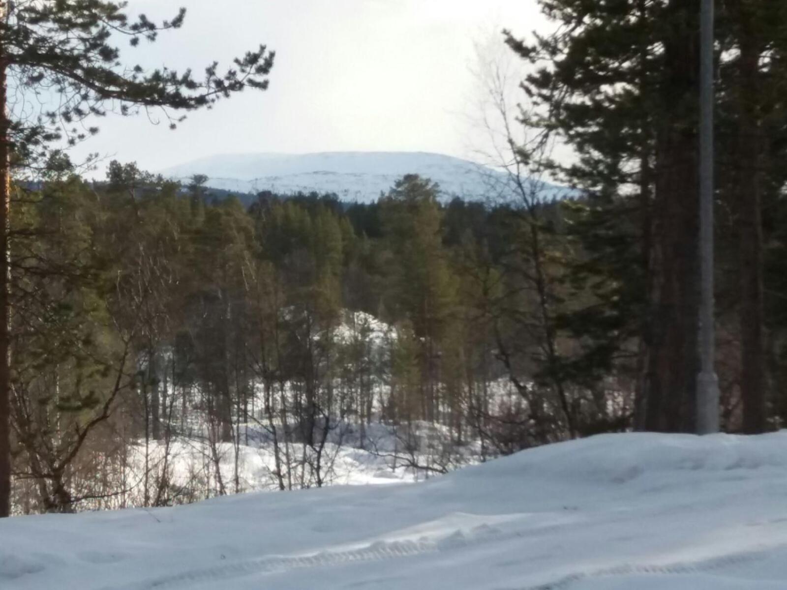 Вілла Paltto Elaemysretket Lemmenjoki Номер фото